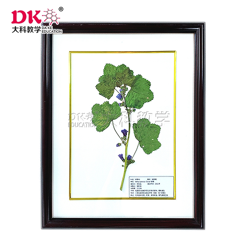  選擇生物標本的幾個原則